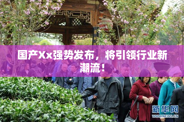 国产Xx强势发布，将引领行业新潮流！