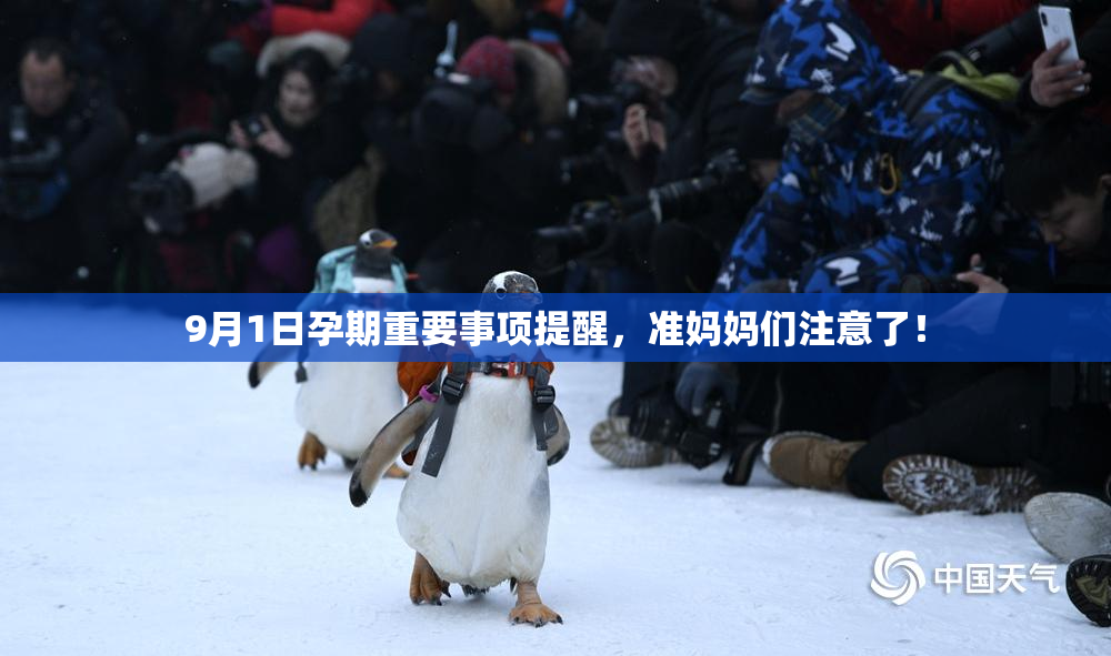 9月1日孕期重要事项提醒，准妈妈们注意了！