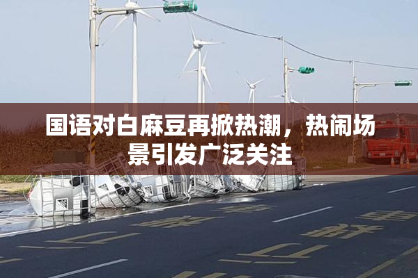 国语对白麻豆再掀热潮，热闹场景引发广泛关注