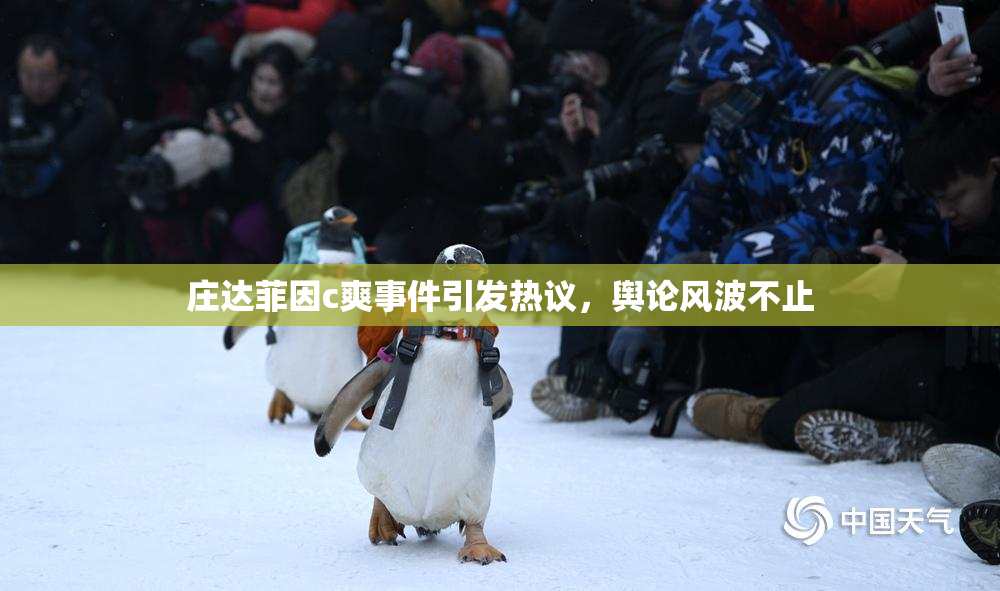 庄达菲因c爽事件引发热议，舆论风波不止
