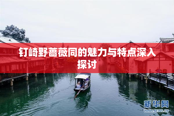 钉崎野蔷薇同的魅力与特点深入探讨