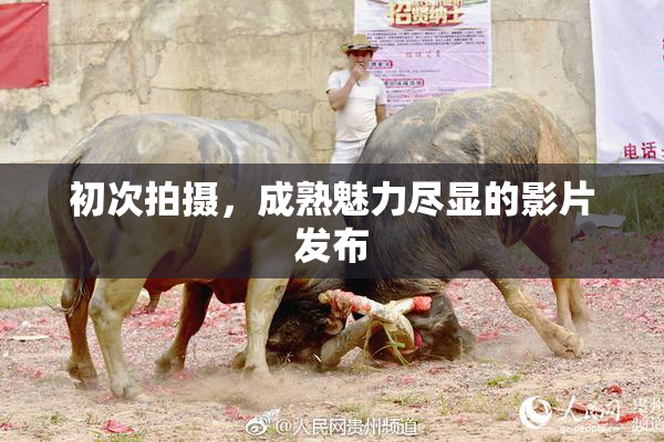 初次拍摄，成熟魅力尽显的影片发布