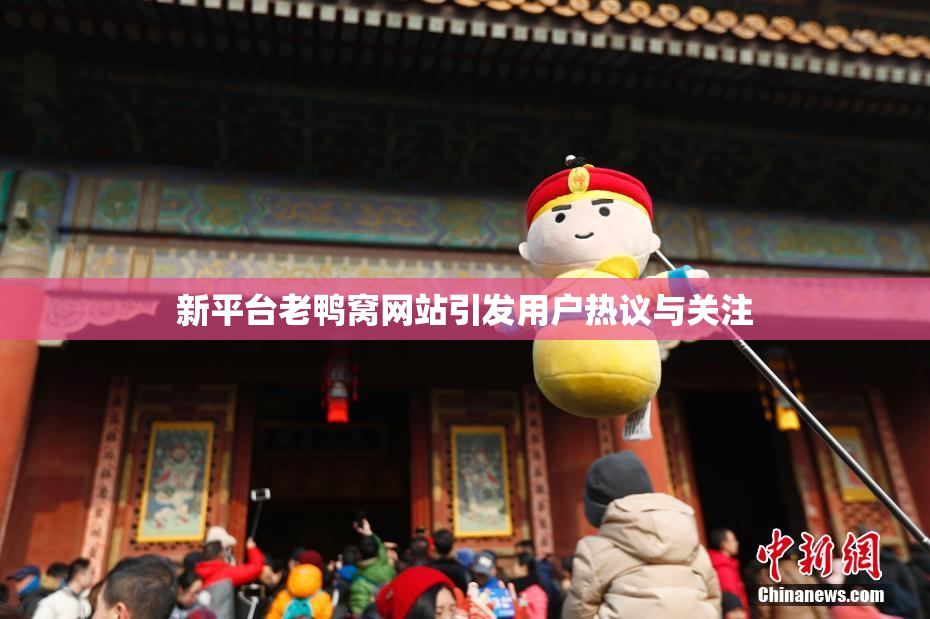新平台老鸭窝网站引发用户热议与关注