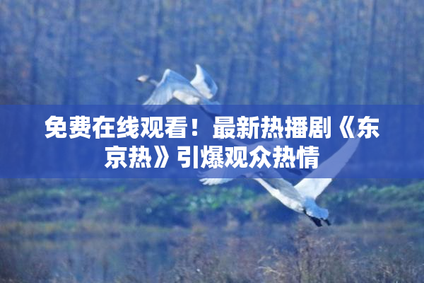 免费在线观看！最新热播剧《东京热》引爆观众热情