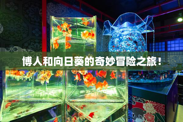 博人和向日葵的奇妙冒险之旅！