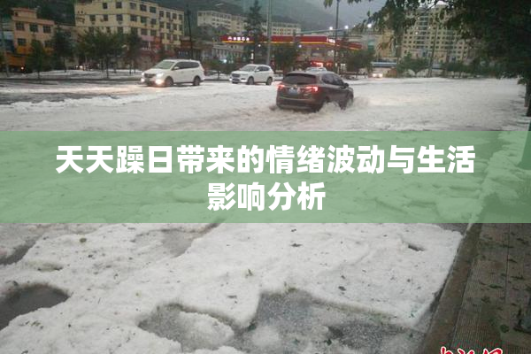 天天躁日带来的情绪波动与生活影响分析