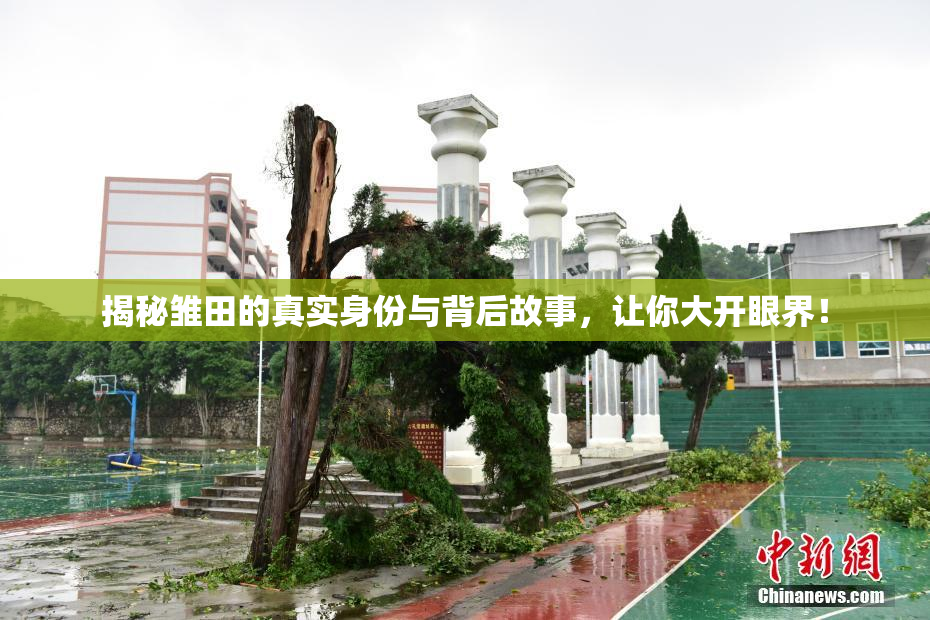 揭秘雏田的真实身份与背后故事，让你大开眼界！