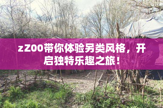 zZ00带你体验另类风格，开启独特乐趣之旅！