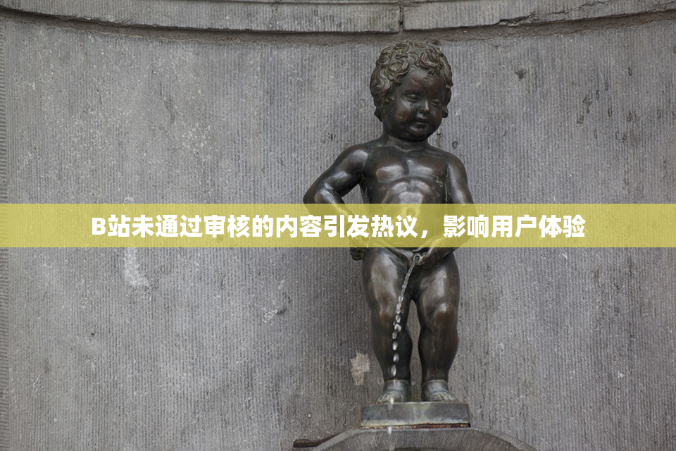 B站未通过审核的内容引发热议，影响用户体验