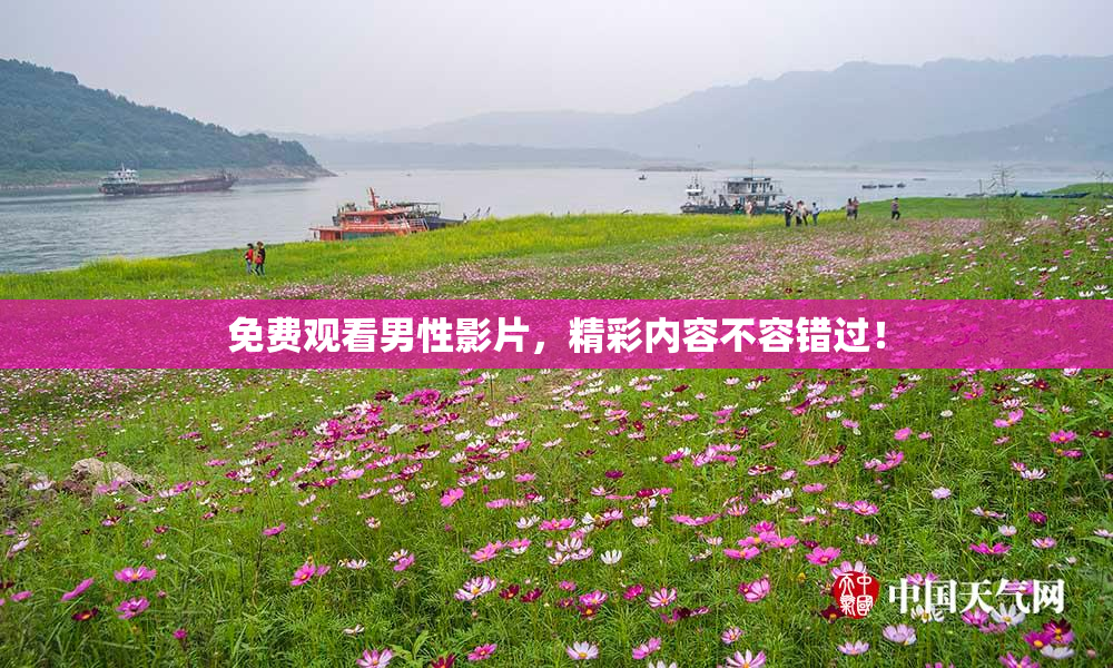 免费观看男性影片，精彩内容不容错过！