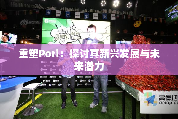 重塑Pori：探讨其新兴发展与未来潜力