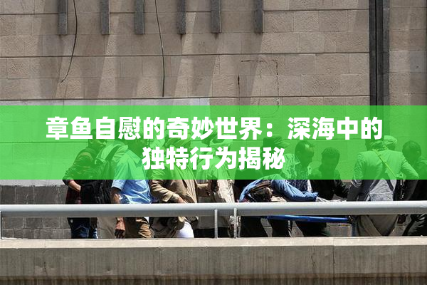 章鱼自慰的奇妙世界：深海中的独特行为揭秘