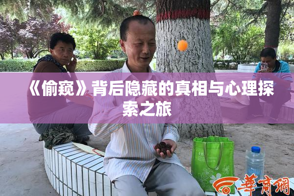 《偷窥》背后隐藏的真相与心理探索之旅