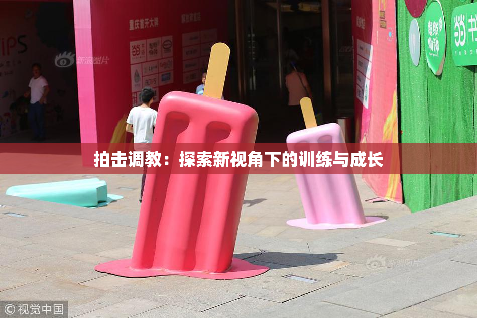 拍击调教：探索新视角下的训练与成长