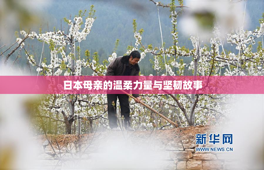 日本母亲的温柔力量与坚韧故事