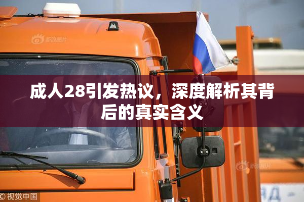 成人28引发热议，深度解析其背后的真实含义