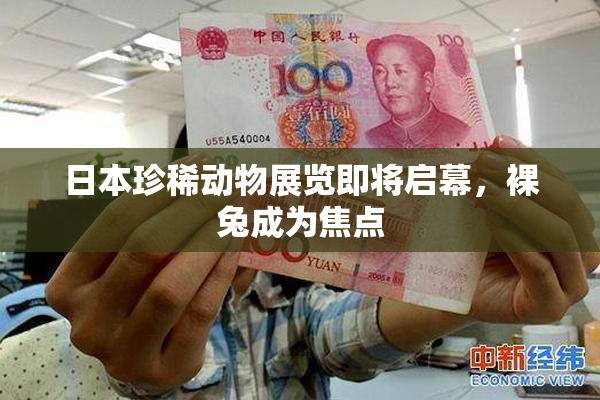 日本珍稀动物展览即将启幕，裸兔成为焦点