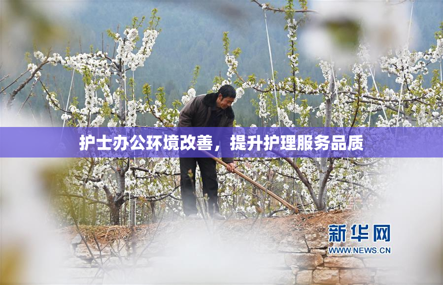 护士办公环境改善，提升护理服务品质