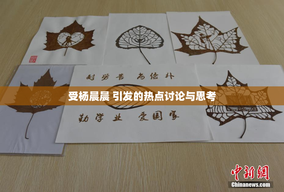 受杨晨晨 引发的热点讨论与思考