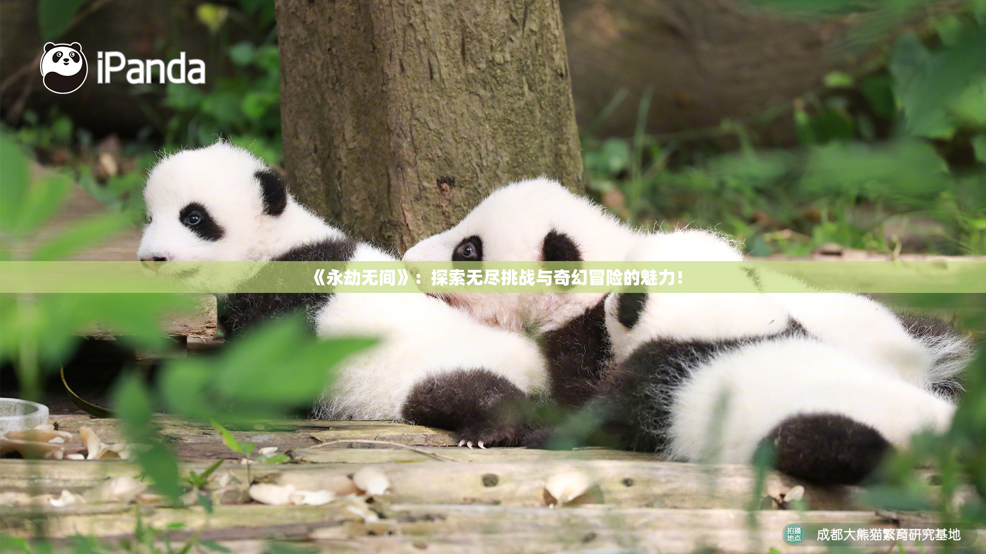 《永劫无间》：探索无尽挑战与奇幻冒险的魅力！