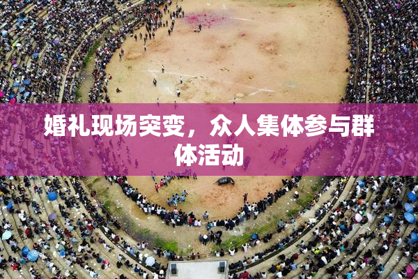 婚礼现场突变，众人集体参与群体活动