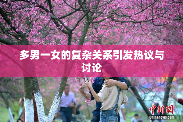 多男一女的复杂关系引发热议与讨论