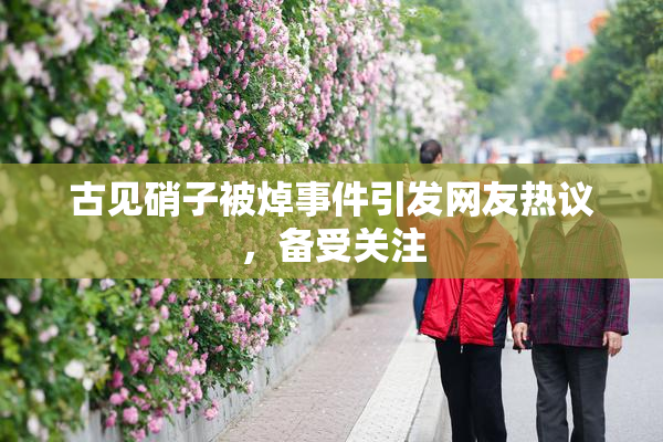 古见硝子被焯事件引发网友热议，备受关注