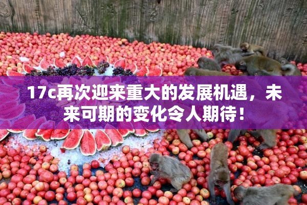 17c再次迎来重大的发展机遇，未来可期的变化令人期待！