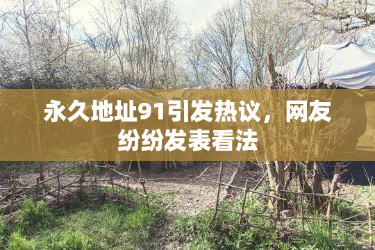 永久地址91引发热议，网友纷纷发表看法