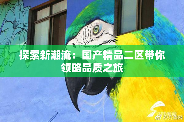 探索新潮流：国产精品二区带你领略品质之旅