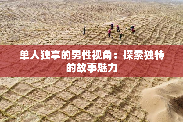 单人独享的男性视角：探索独特的故事魅力