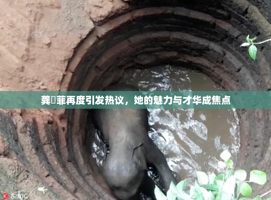 龚玥菲再度引发热议，她的魅力与才华成焦点