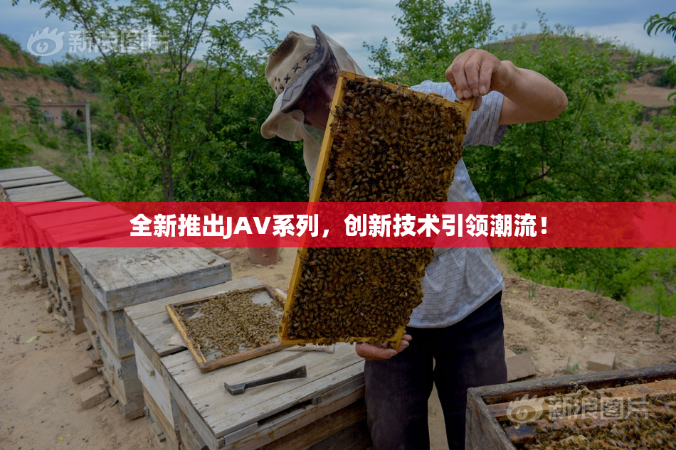 全新推出JAV系列，创新技术引领潮流！