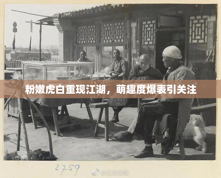 粉嫩虎白重现江湖，萌趣度爆表引关注