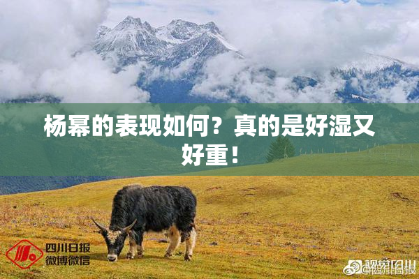 杨幂的表现如何？真的是好湿又好重！