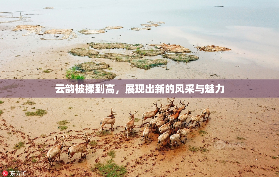 云韵被揉到高，展现出新的风采与魅力