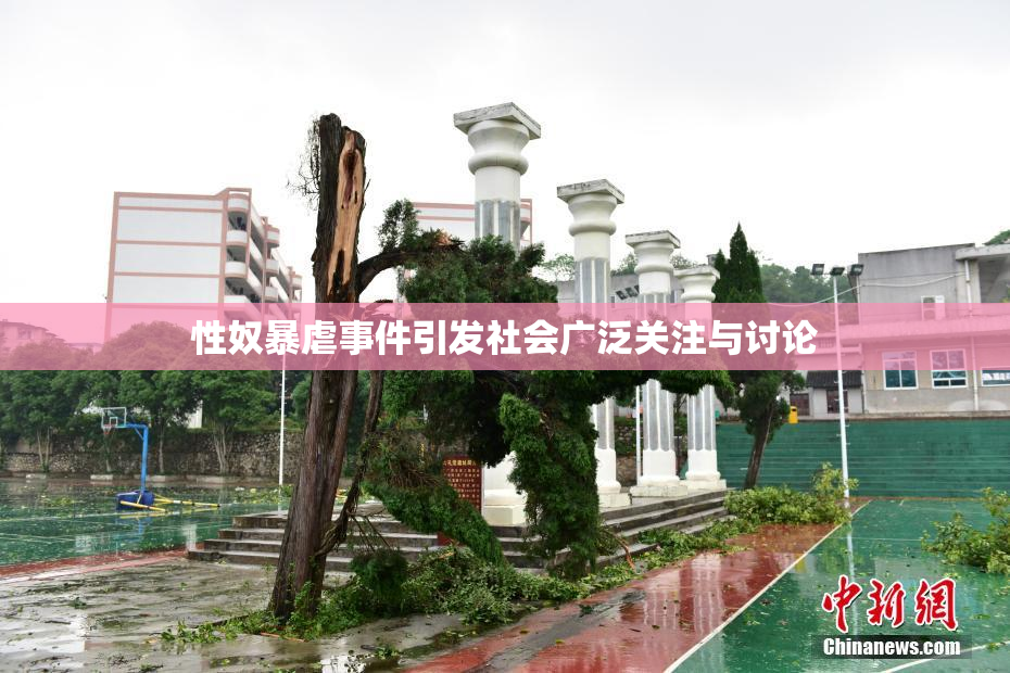 性奴暴虐事件引发社会广泛关注与讨论