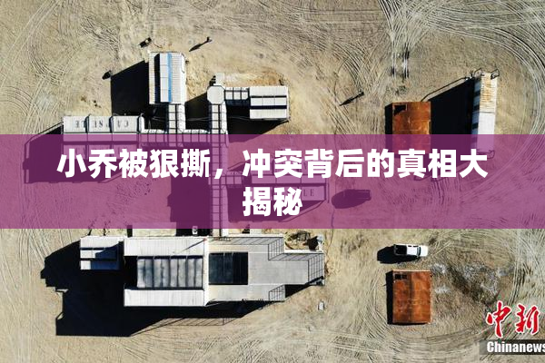 小乔被狠撕，冲突背后的真相大揭秘