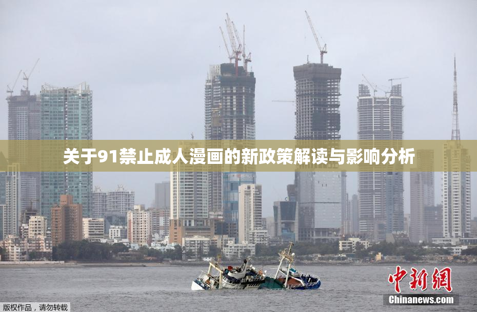 关于91禁止成人漫画的新政策解读与影响分析