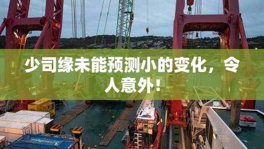 少司缘未能预测小的变化，令人意外！