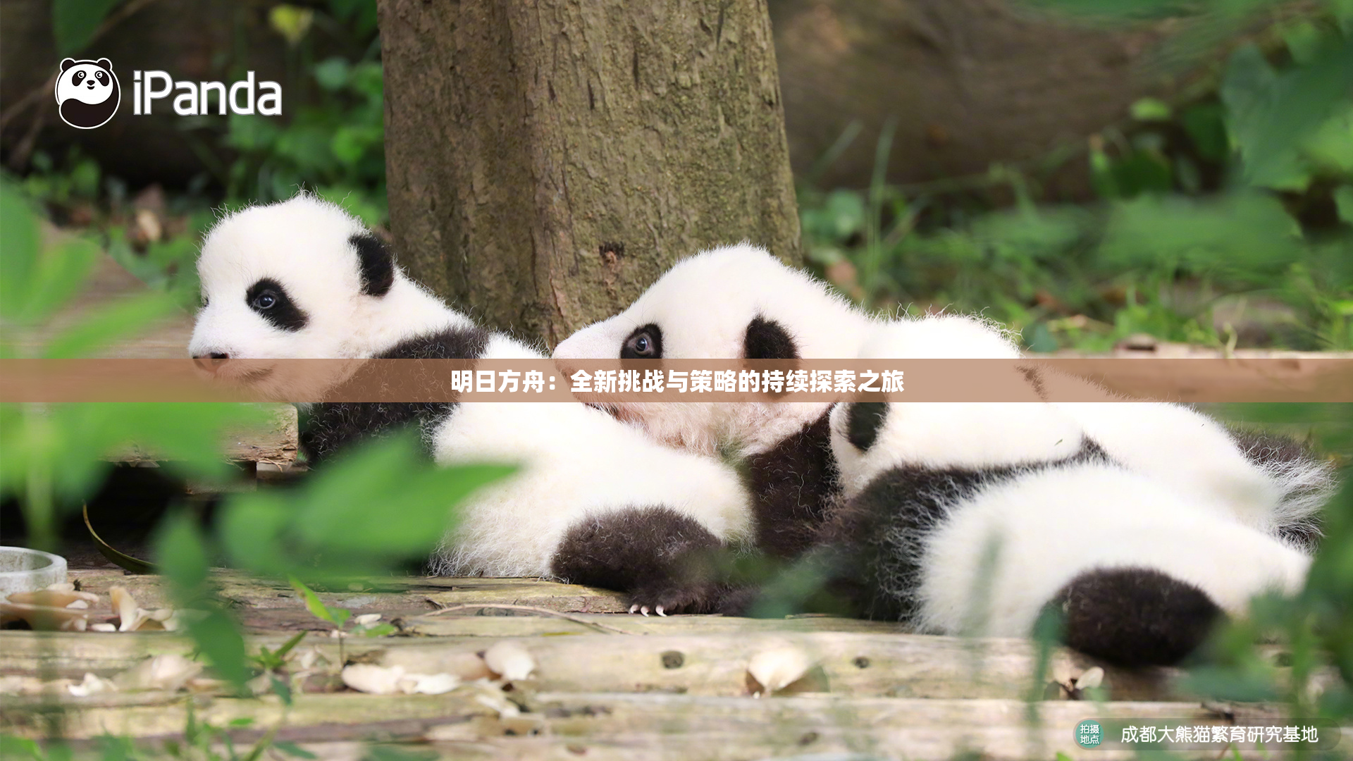 明日方舟：全新挑战与策略的持续探索之旅
