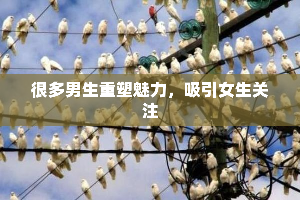 很多男生重塑魅力，吸引女生关注