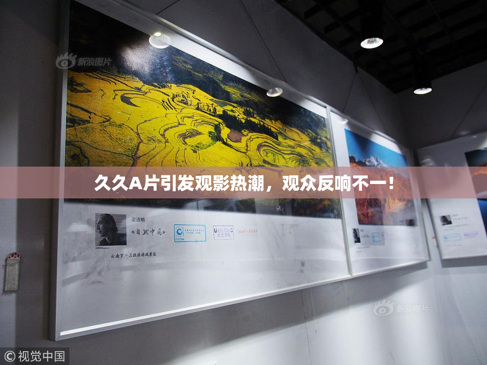 久久A片引发观影热潮，观众反响不一！