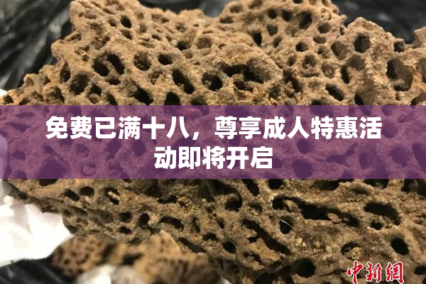 免费已满十八，尊享成人特惠活动即将开启