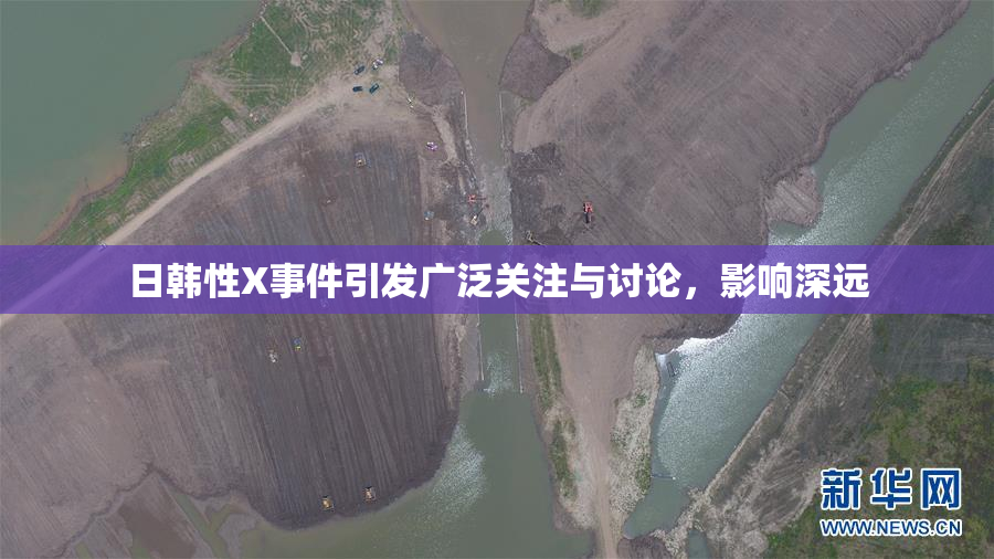 日韩性X事件引发广泛关注与讨论，影响深远