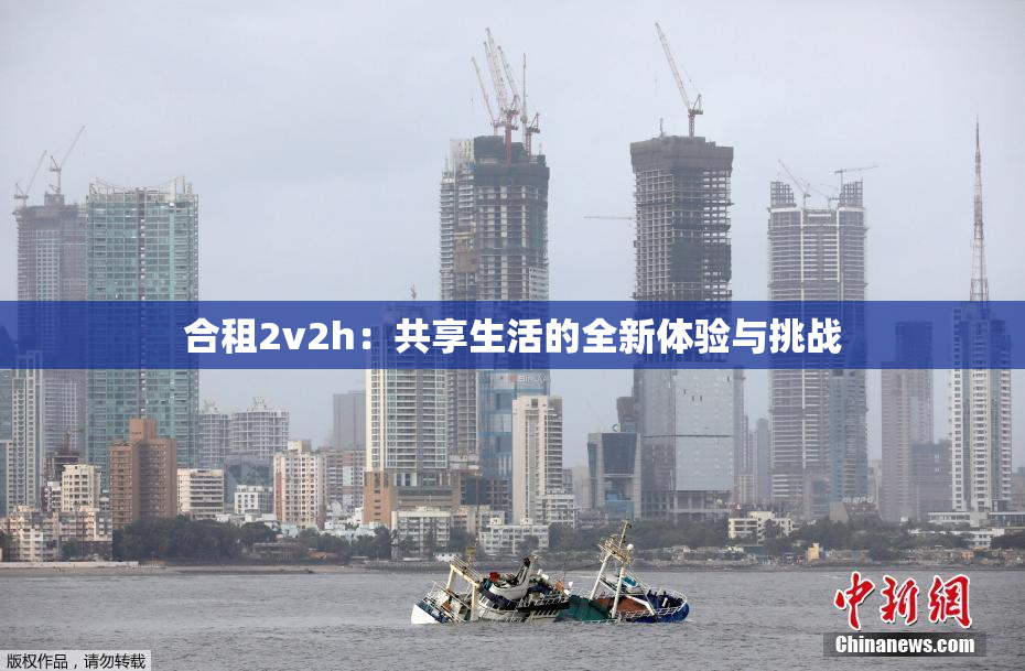 合租2v2h：共享生活的全新体验与挑战