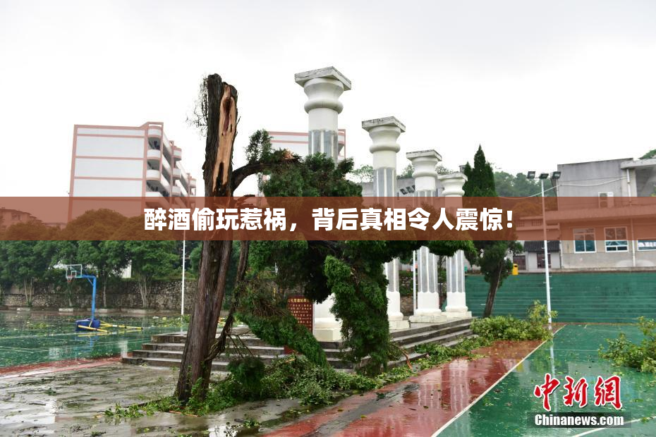 醉酒偷玩惹祸，背后真相令人震惊！