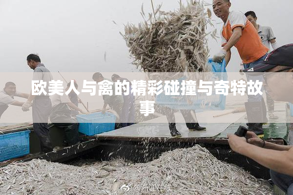 欧美人与禽的精彩碰撞与奇特故事