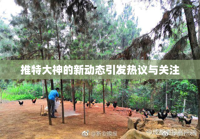 推特大神的新动态引发热议与关注