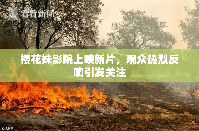樱花妹影院上映新片，观众热烈反响引发关注